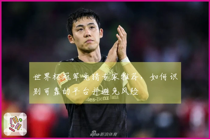 世界杯冠军竞猜专家推荐，如何识别可靠的平台并避免风险