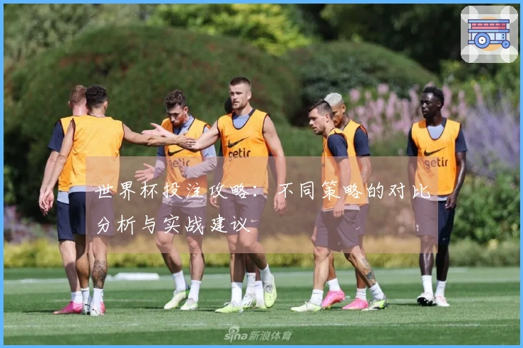 世界杯投注攻略：不同策略的对比分析与实战建议