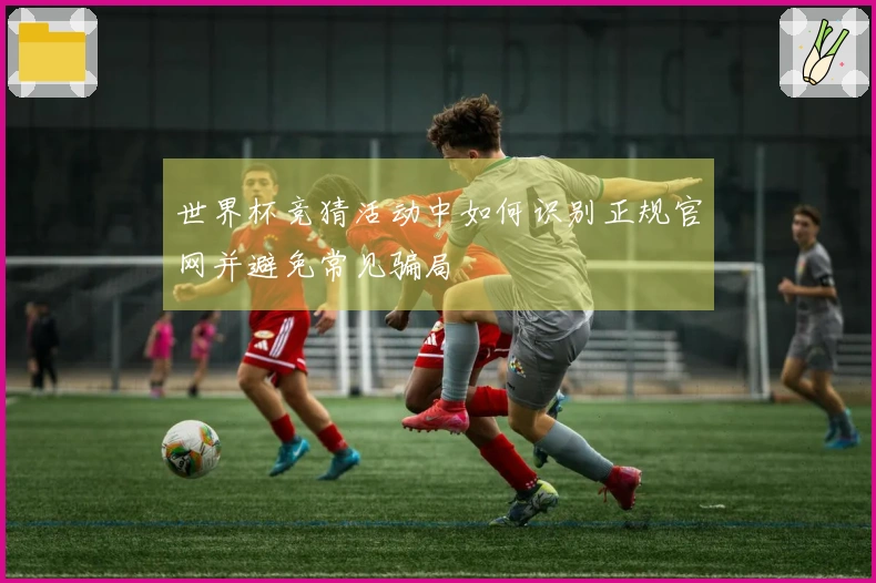 世界杯竞猜活动中如何识别正规官网并避免常见骗局