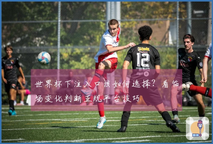 世界杯下注入口该如何选择？看临场变化判断正规平台技巧