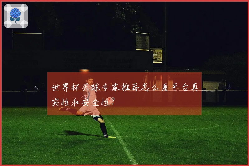 世界杯买球专家推荐怎么看平台真实性和安全性?
