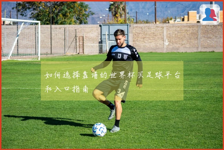 如何选择靠谱的世界杯买足球平台和入口指南