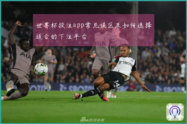 世界杯投注app常见误区及如何选择适合的下注平台
