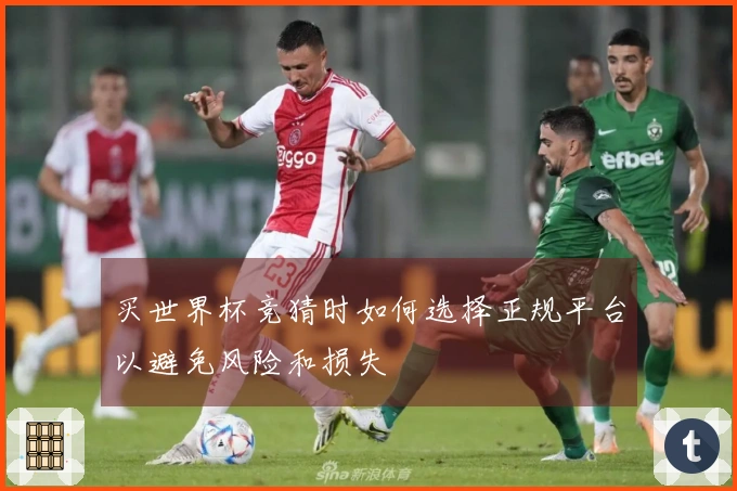 买世界杯竞猜时如何选择正规平台以避免风险和损失